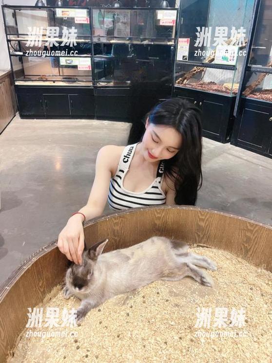黄衣肉丝作品揭晓，观看森萝财团精彩图片集锦.txt